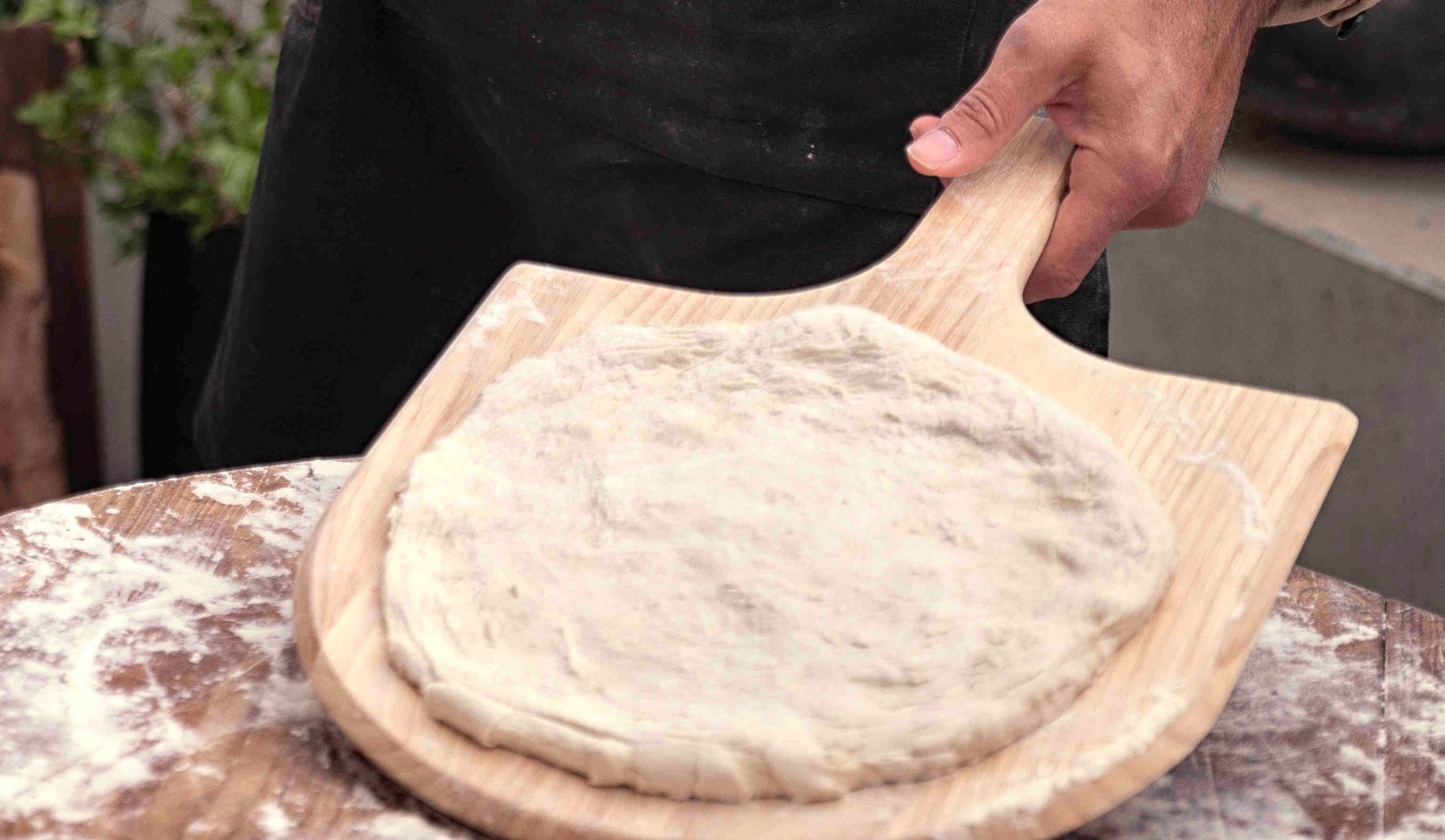 Neapolitan Pizza Dough Witt Pizza