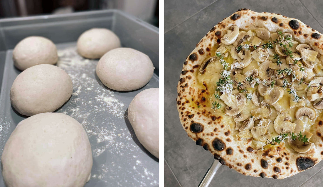 POOLISH PIZZA DOUGH Witt Pizza poolish-pizza-dough-witt-pizza